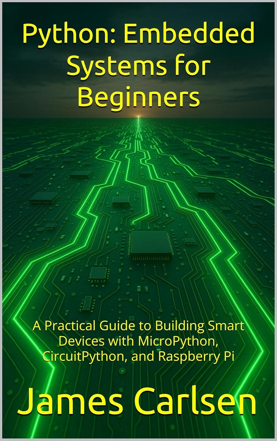 Welcome to the World of Embedded Systems with Python
